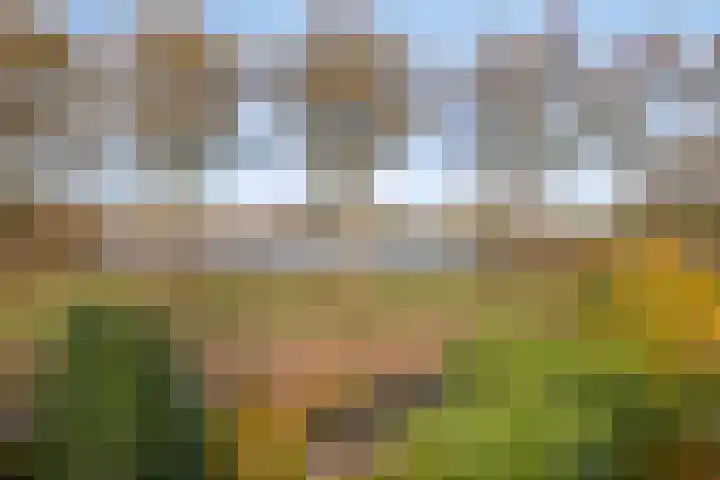 Lobenpolder 17 Bergen op Zoom thumbnail 44