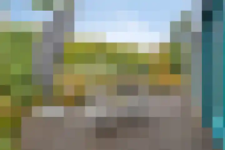 Lobenpolder 17 Bergen op Zoom thumbnail 50