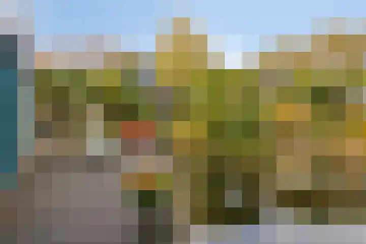 Lobenpolder 17 Bergen op Zoom thumbnail 51