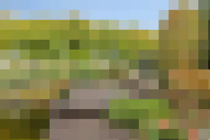 Lobenpolder 17 Bergen op Zoom thumbnail 52