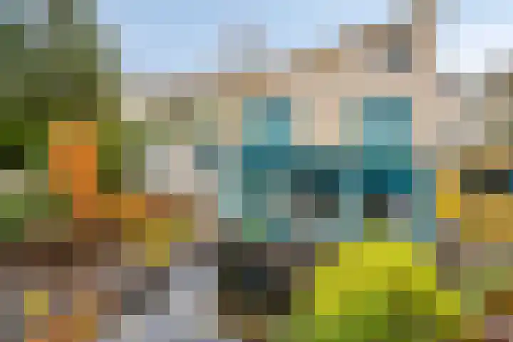 Lobenpolder 17 Bergen op Zoom thumbnail 53
