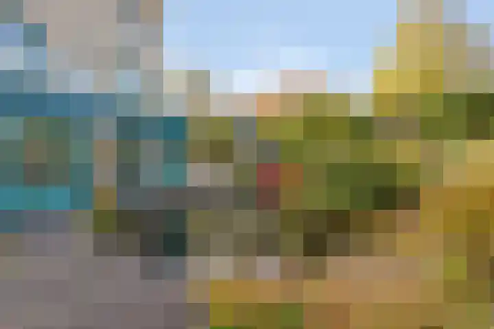 Lobenpolder 17 Bergen op Zoom thumbnail 55