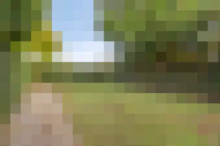 Lobenpolder 17 Bergen op Zoom thumbnail 56