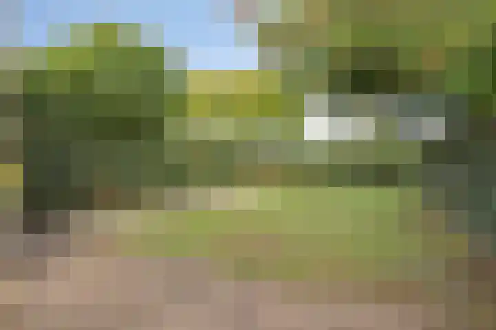 Lobenpolder 17 Bergen op Zoom thumbnail 57
