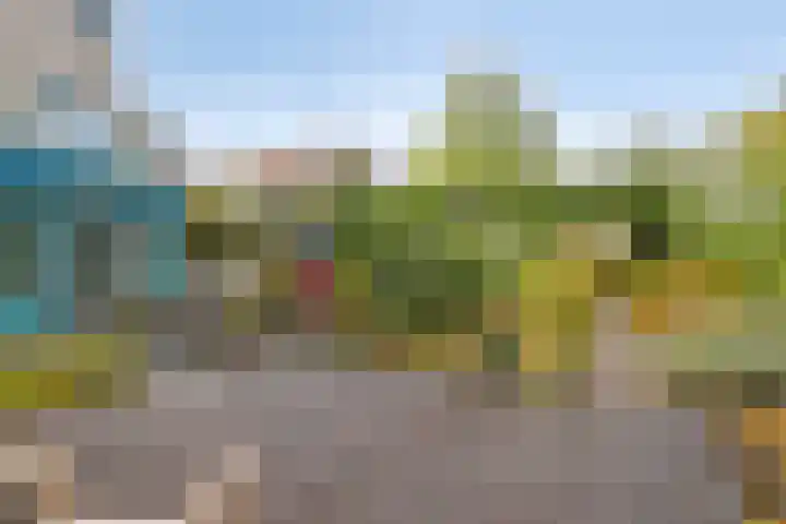 Lobenpolder 17 Bergen op Zoom thumbnail 59