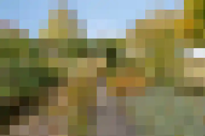 Lobenpolder 17 Bergen op Zoom thumbnail 61