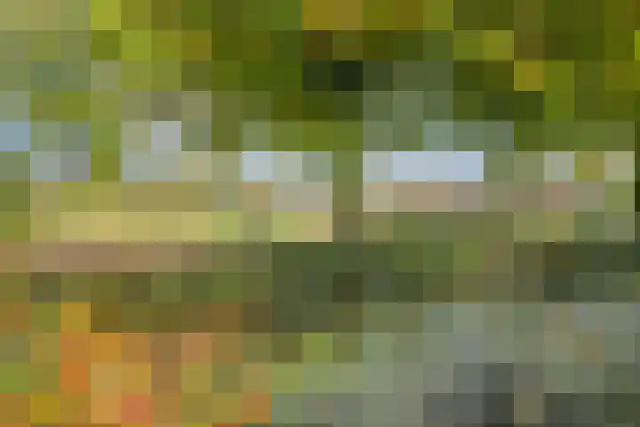 Lobenpolder 17 Bergen op Zoom thumbnail 62