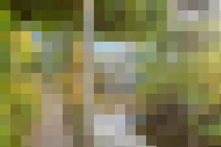 Lobenpolder 17 Bergen op Zoom thumbnail 63