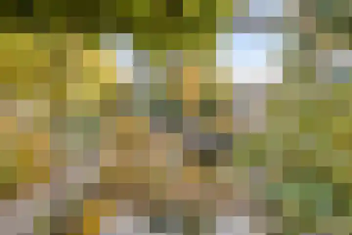 Lobenpolder 17 Bergen op Zoom thumbnail 64