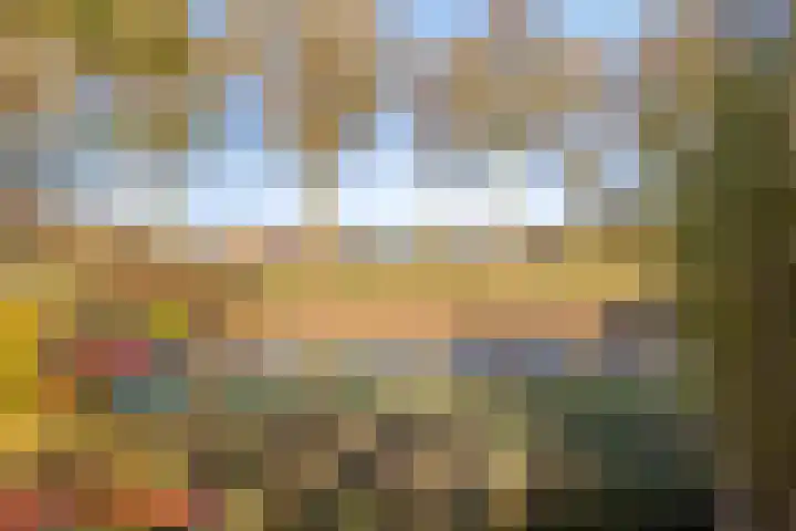 Lobenpolder 17 Bergen op Zoom thumbnail 67