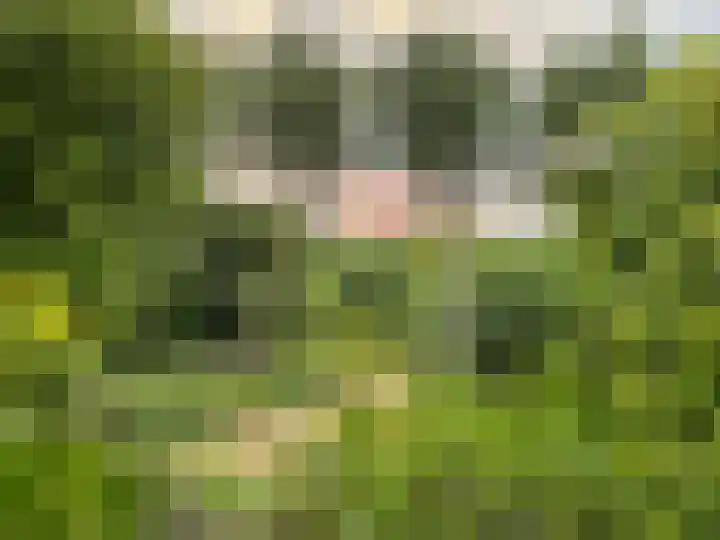 Lobenpolder 17 Bergen op Zoom thumbnail 71