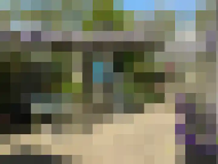 Lobenpolder 17 Bergen op Zoom thumbnail 72