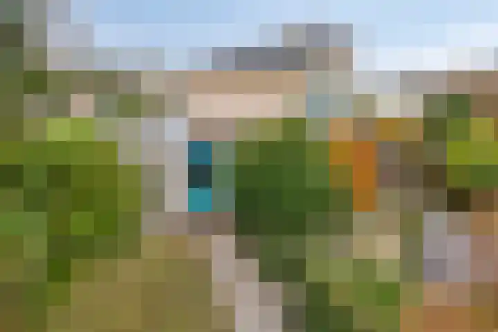 Lobenpolder 17 Bergen op Zoom thumbnail 74