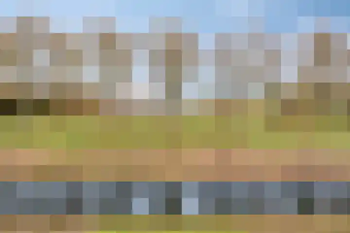 Lobenpolder 17 Bergen op Zoom thumbnail 75