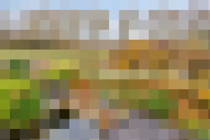 Lobenpolder 17 Bergen op Zoom thumbnail 76