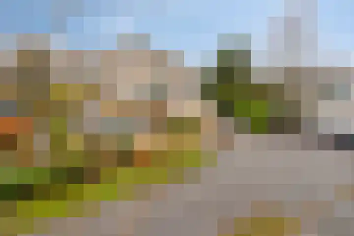 Lobenpolder 17 Bergen op Zoom thumbnail 81