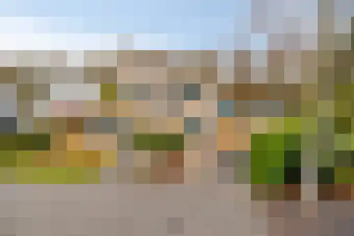 Lobenpolder 17 Bergen op Zoom thumbnail 82