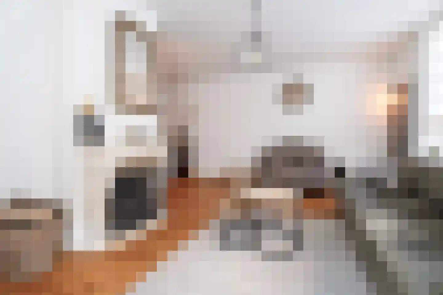 Lobithstraat 25 Tilburg thumbnail 6