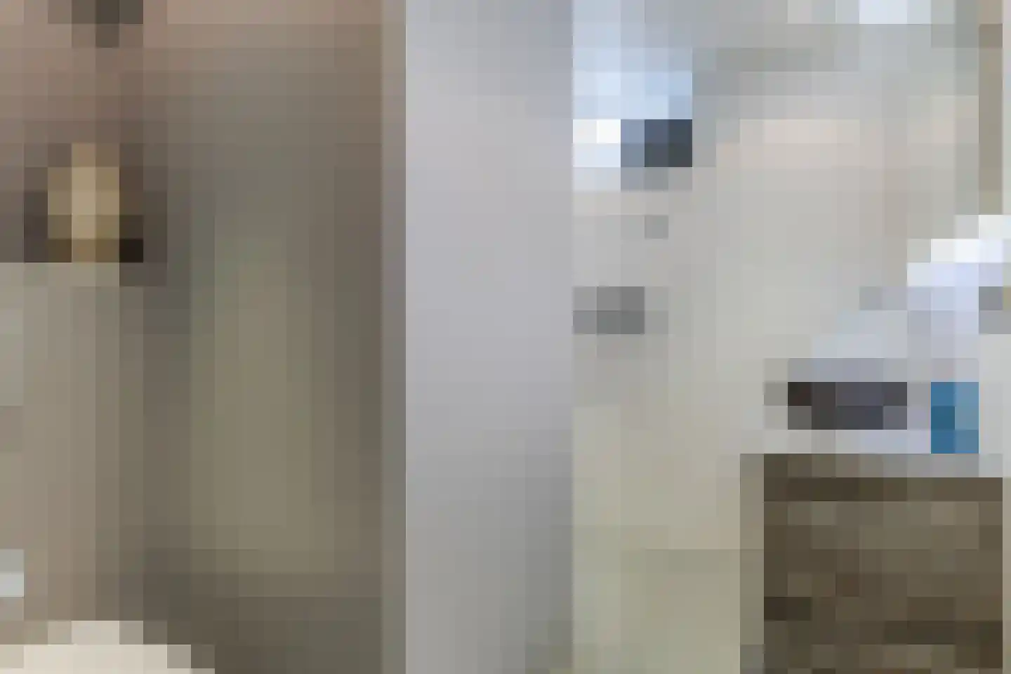 Löblaan 101 Berkel-Enschot thumbnail 4