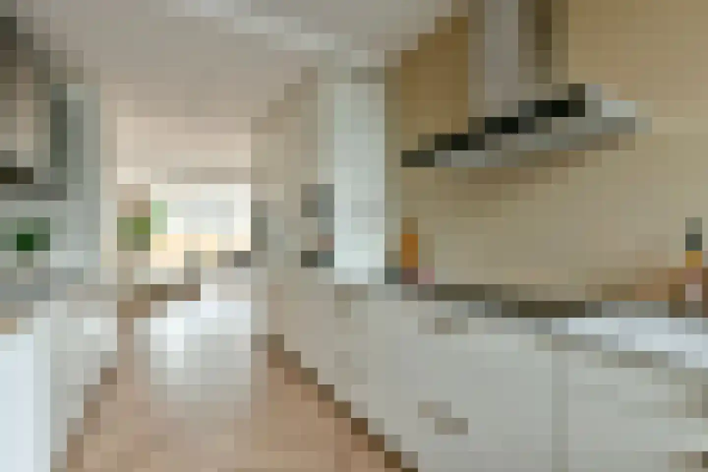 Lobo-Braakensiekstraat 122 Amsterdam thumbnail 4