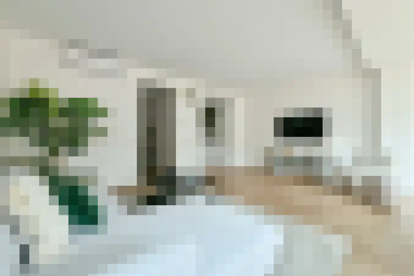Lobo-Braakensiekstraat 122 Amsterdam thumbnail 9