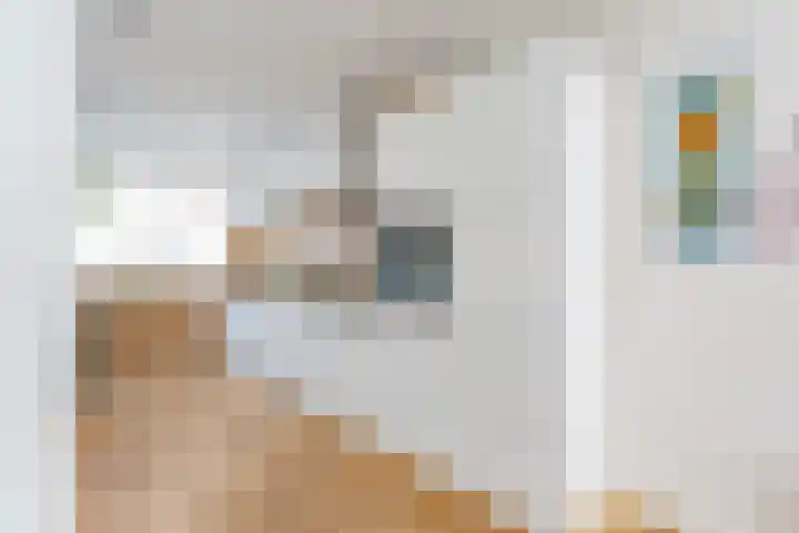 Lobo-Braakensiekstraat 66 Amsterdam thumbnail 8