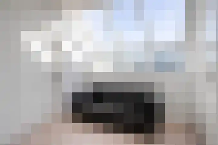 Lobroec 16 Nuenen thumbnail 25
