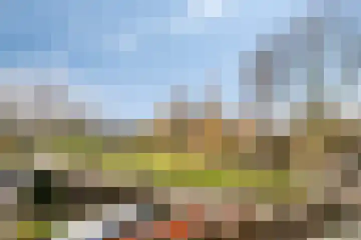 Lobroec 16 Nuenen thumbnail 28