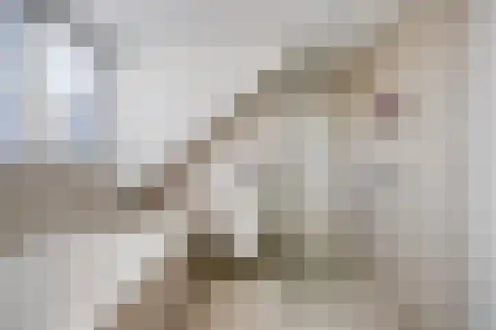 Lobroec 16 Nuenen thumbnail 33