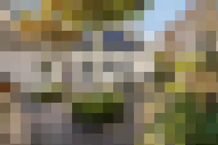 Lobroec 16 Nuenen thumbnail 41