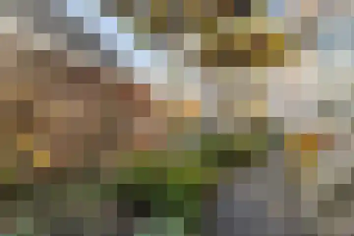 Lobroec 16 Nuenen thumbnail 42