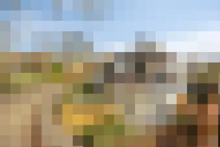 Lobroec 16 Nuenen thumbnail 46