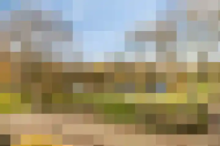 Lobroec 16 Nuenen thumbnail 49