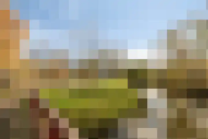Lobroec 16 Nuenen thumbnail 50