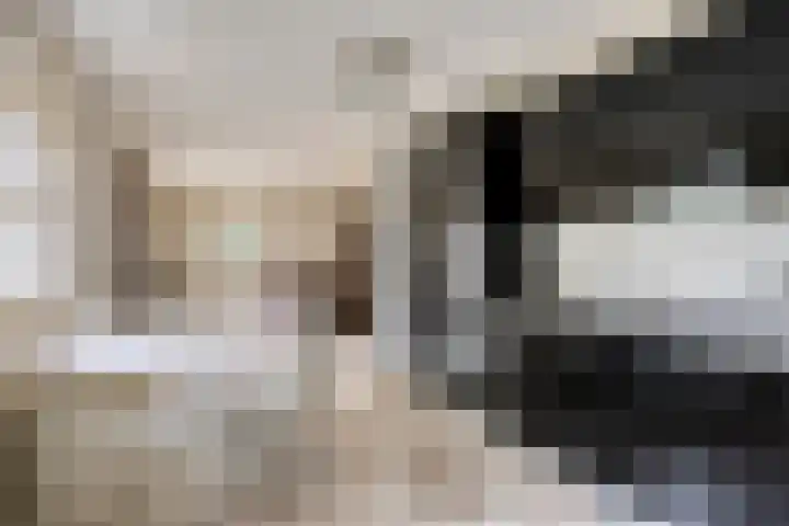 Lobroec 2 Nuenen thumbnail 14