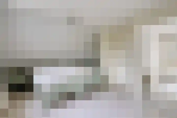 Lobroec 2 Nuenen thumbnail 17