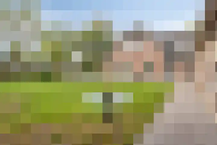 Lobroec 2 Nuenen thumbnail 28