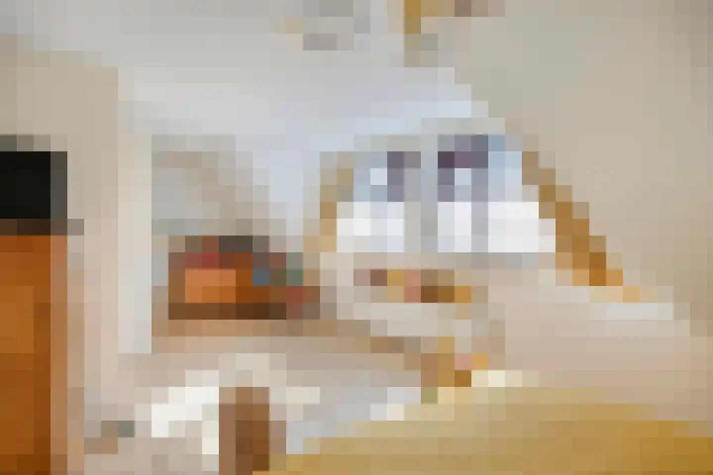 Lobroec 44 Nuenen thumbnail 30