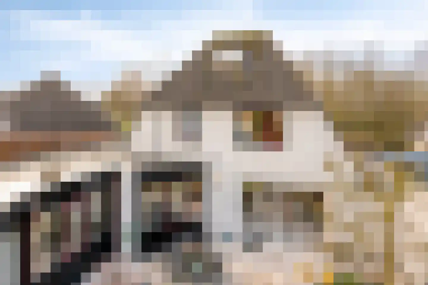 Lobroec 44 Nuenen thumbnail 45