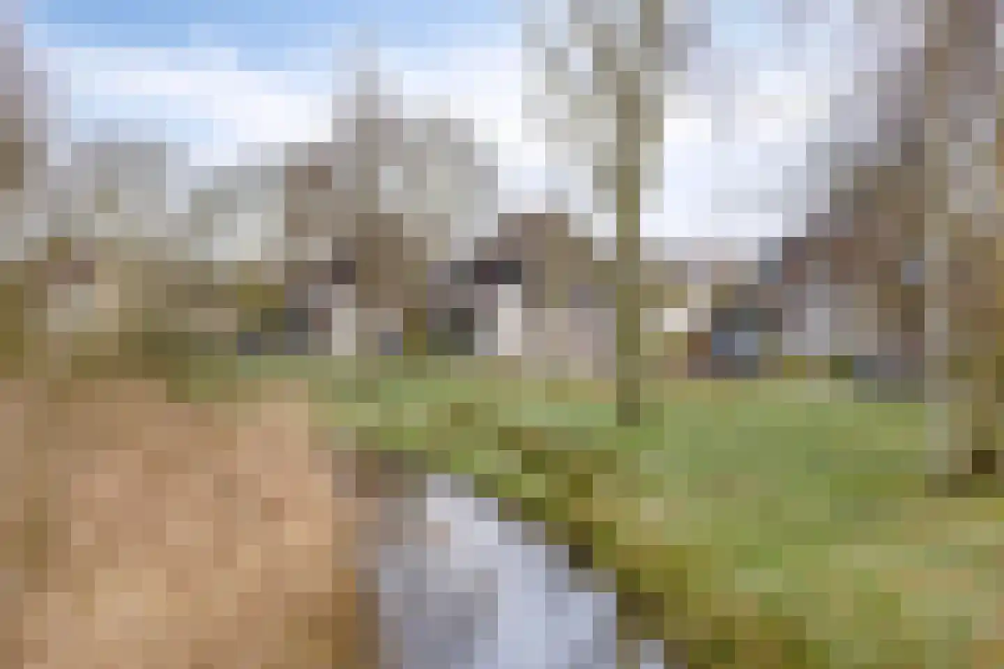 Lobroec 44 Nuenen thumbnail 48