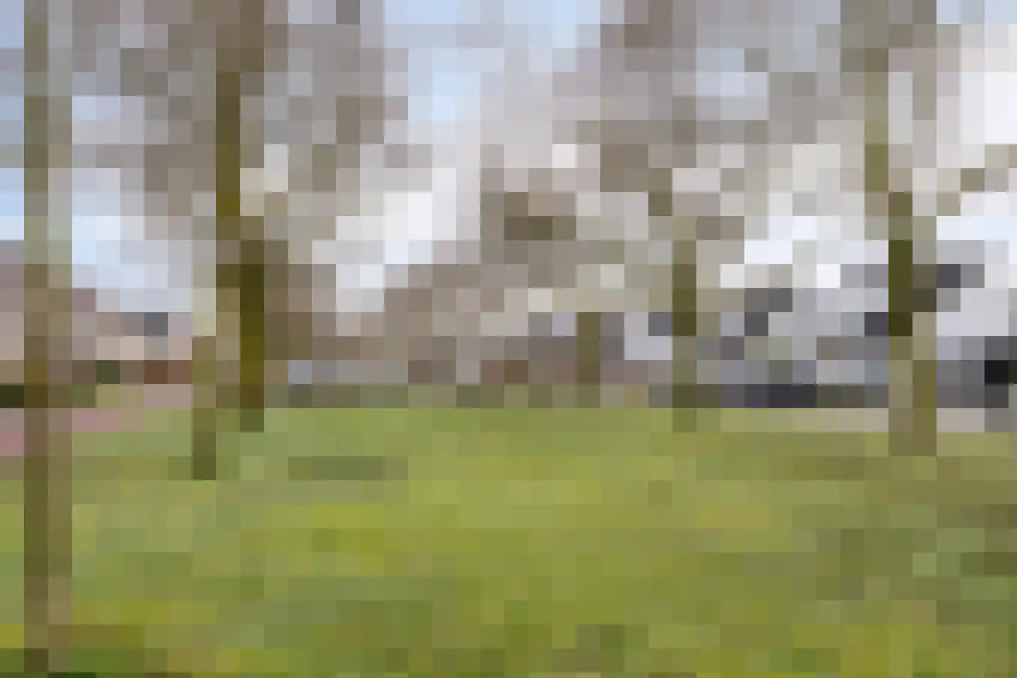 Lobroec 44 Nuenen thumbnail 51