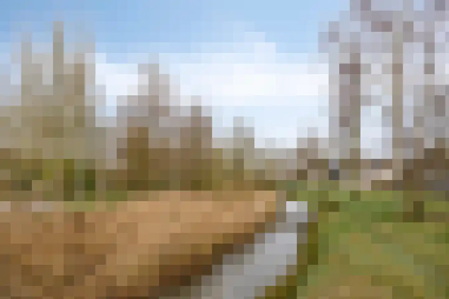 Lobroec 44 Nuenen thumbnail 52