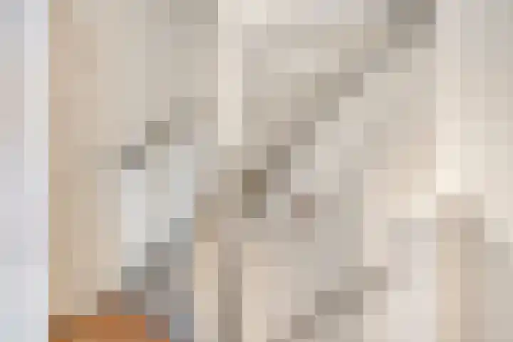 Locatellistraat 16 Eindhoven thumbnail 25