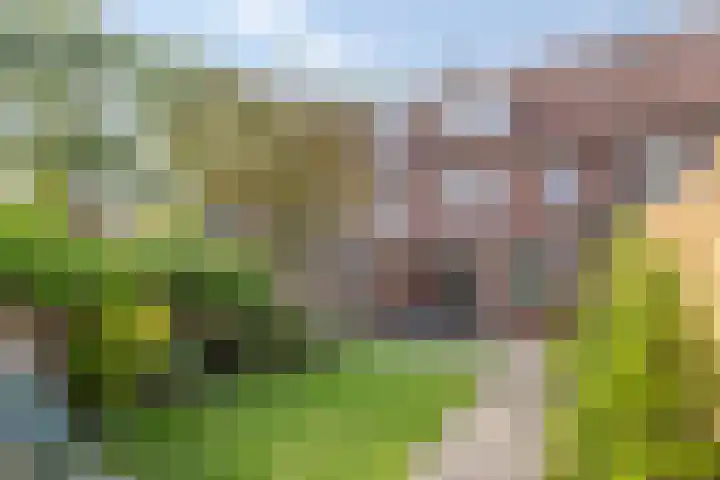 Locatellistraat 16 Eindhoven thumbnail 34