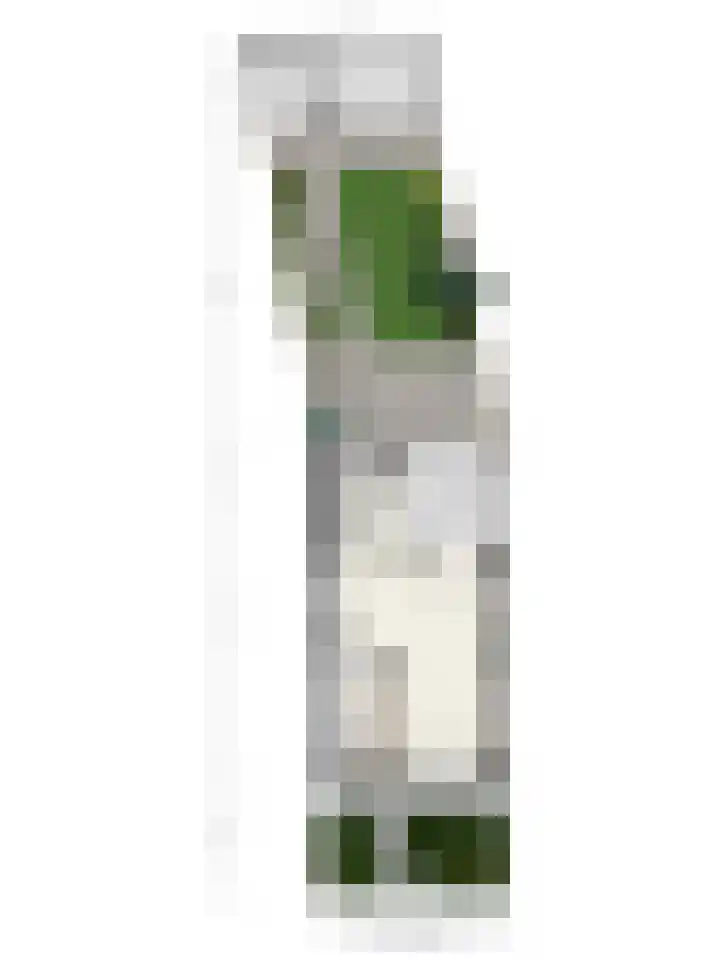 Locatellistraat 16 Eindhoven thumbnail 38