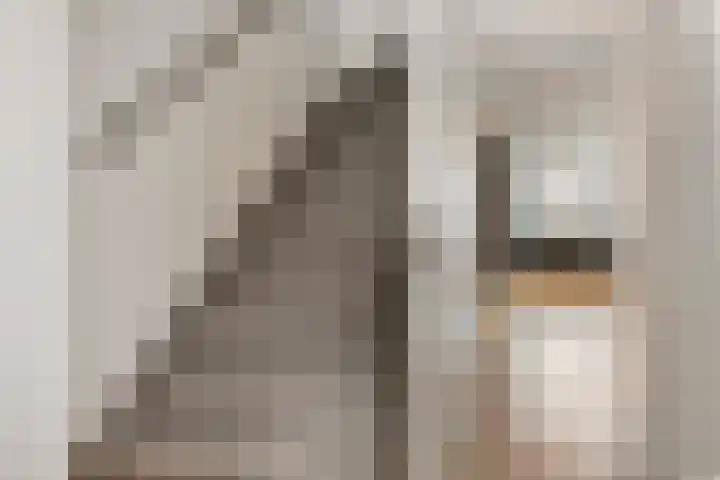 Locatellistraat 16 Eindhoven thumbnail 4