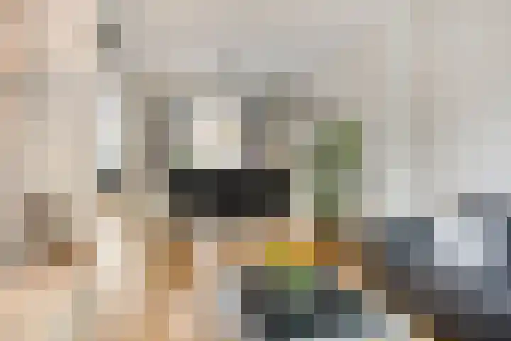 Locatellistraat 16 Eindhoven thumbnail 9