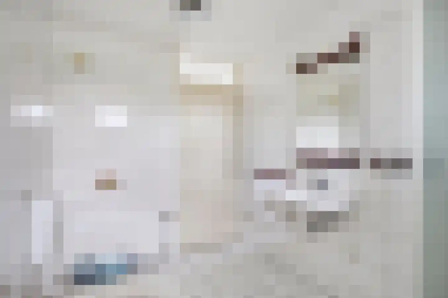 Locatellistraat 17 Tilburg thumbnail 25