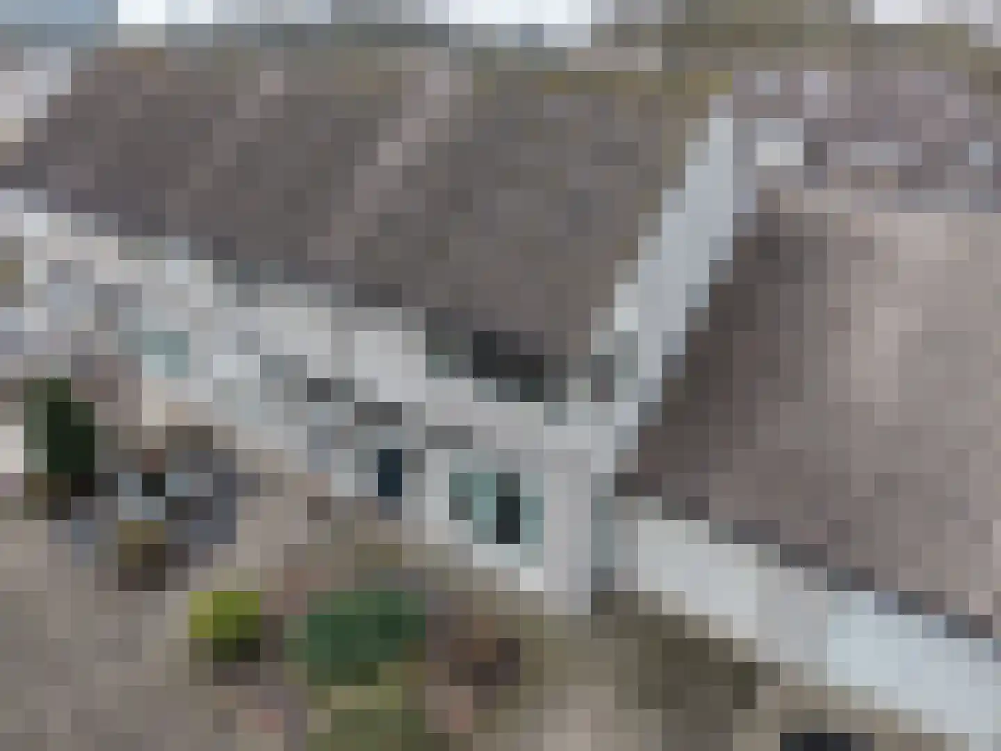 Locatellistraat 17 Tilburg thumbnail 37