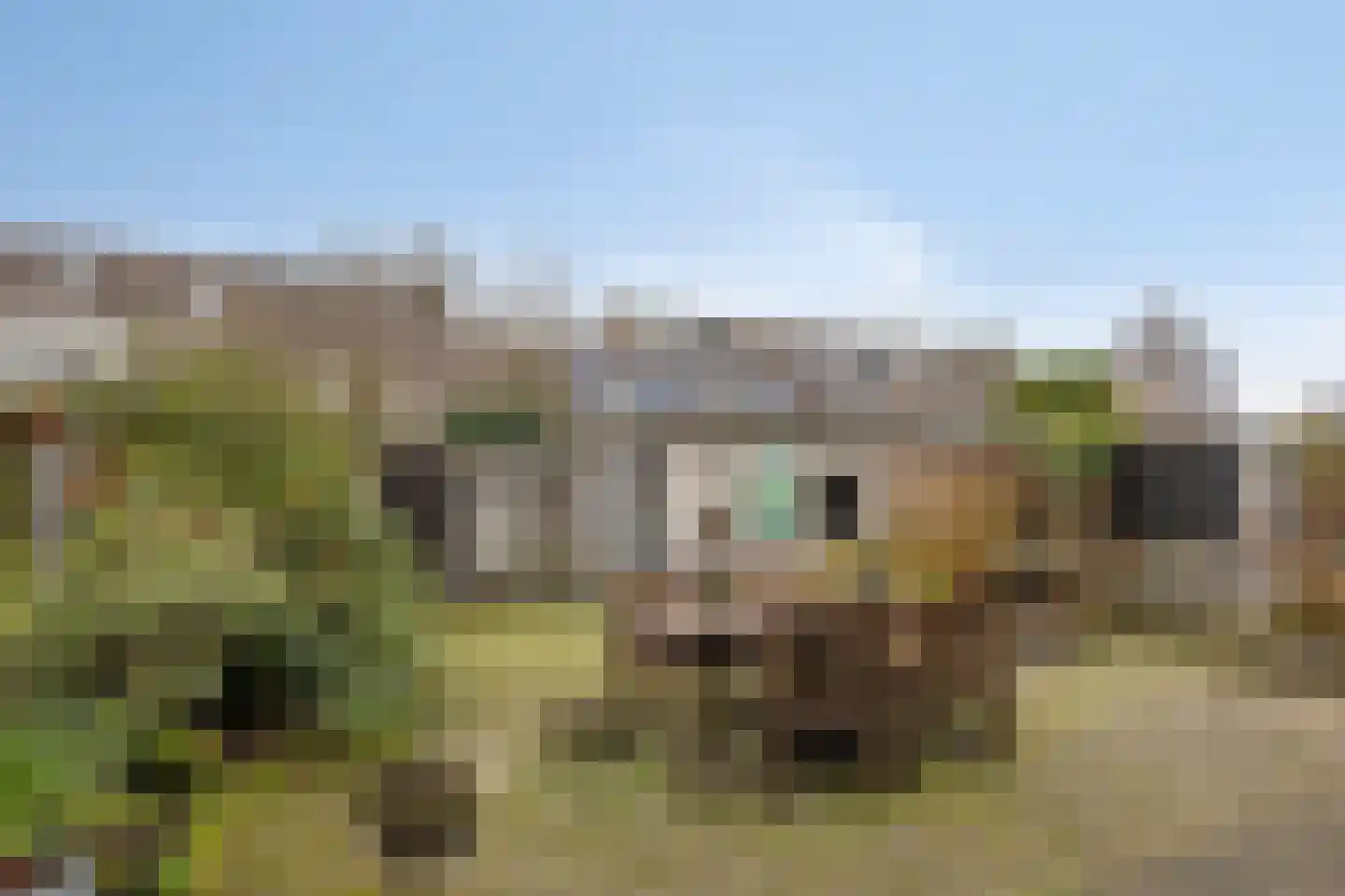 Locatellistraat 17 Tilburg thumbnail 7